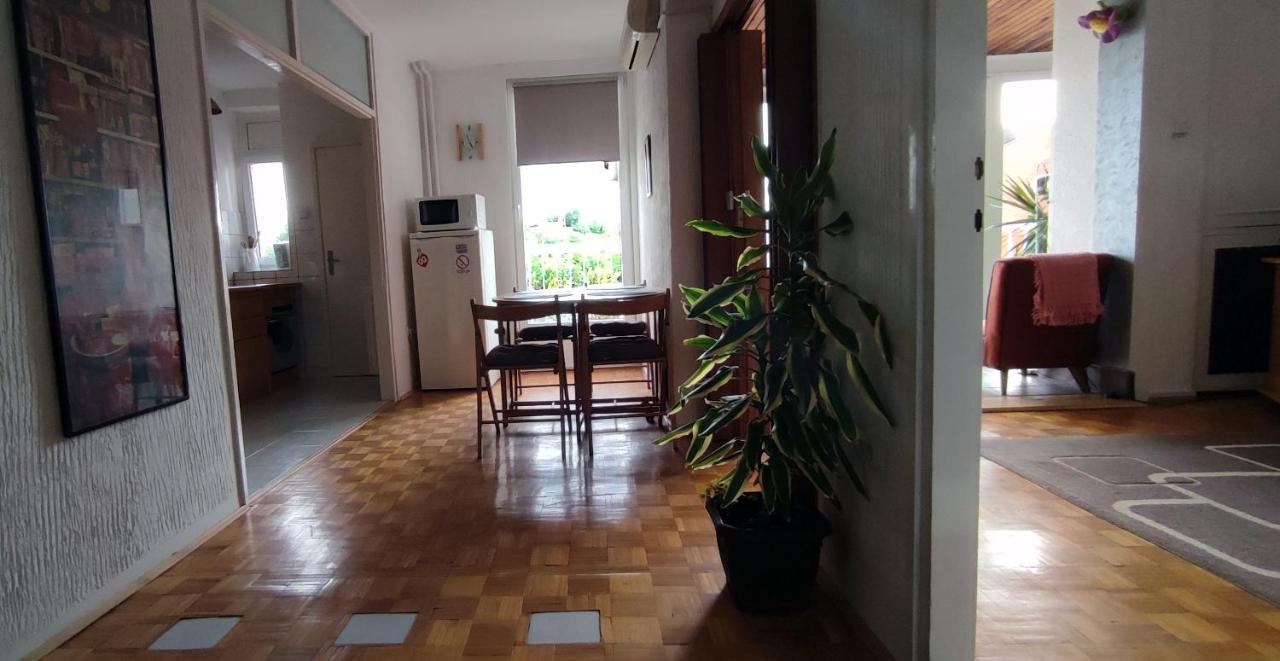 Sokolov Apartment Smederevo Exteriör bild
